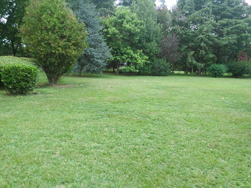 parque para web 3.jpg